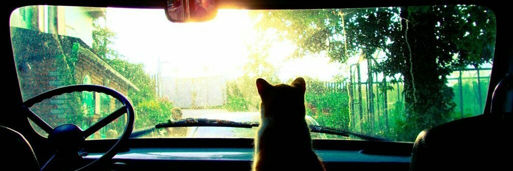 L'ouvrier syndiqué 🇧🇪👨‍🔧🇵🇸 (victoria 3 stan) banner