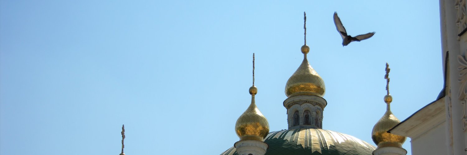 burevestnik's profile banner image
