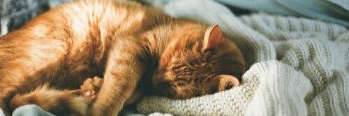 Lets Be Little Red banner