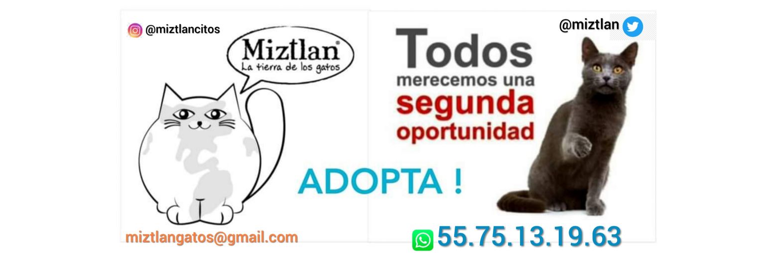 Miztlan ORG banner