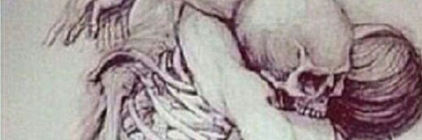 NSurvivor Profile Banner