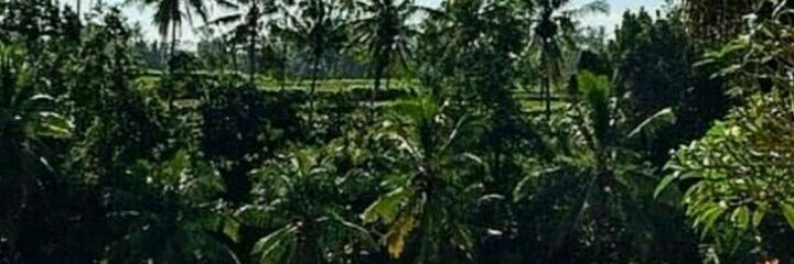 matthew_swane's profile banner image