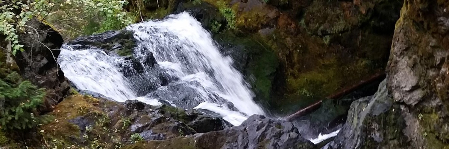 Stetson1718's profile banner image
