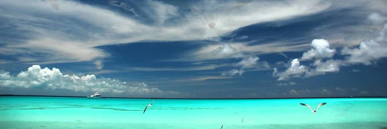 jorgemilanes's profile banner image