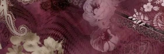 jny `✦ ˑ's banner