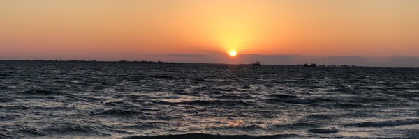 HerveyPHE Profile Banner