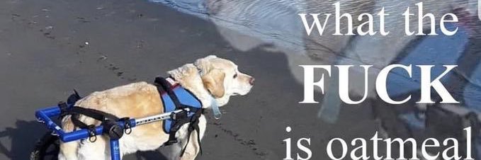 Colonel Senpai banner