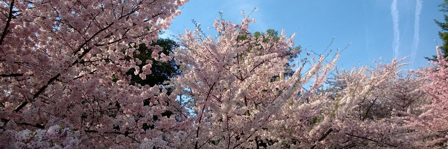 samsimon's profile banner image
