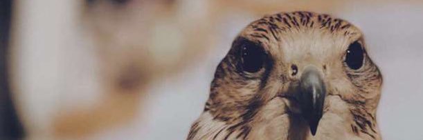 50Azoz1's profile banner image
