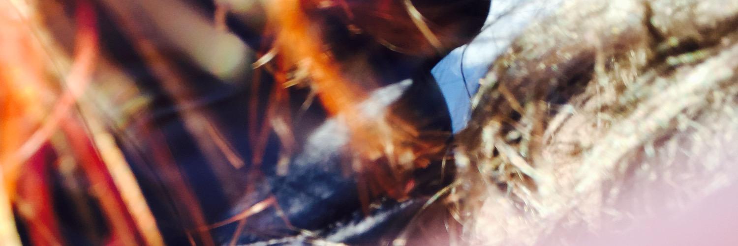 putriaprina_'s profile banner image