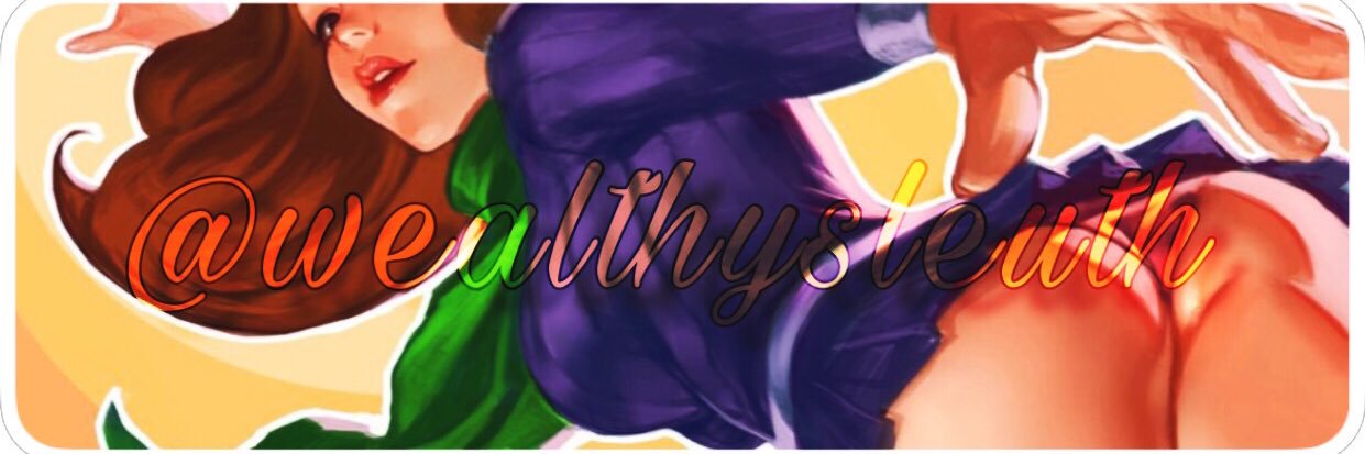 wealthysleuth's profile banner image