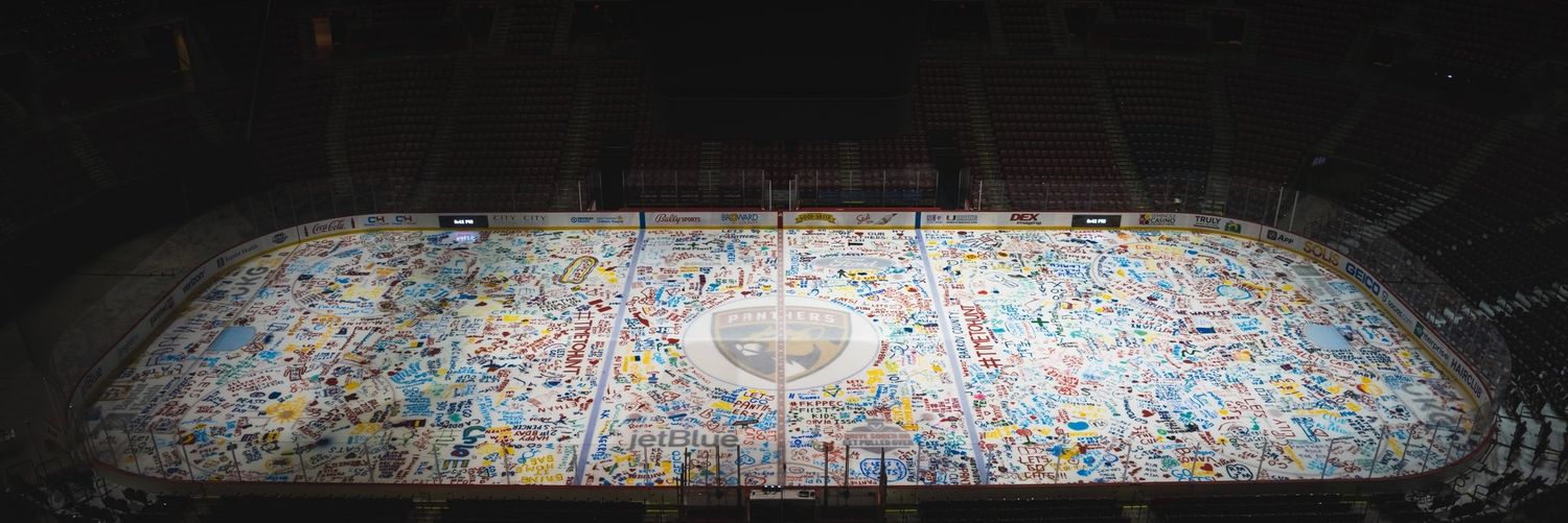 Panthers Brasil banner