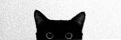 Amberlin.eth 🇦🇷 banner