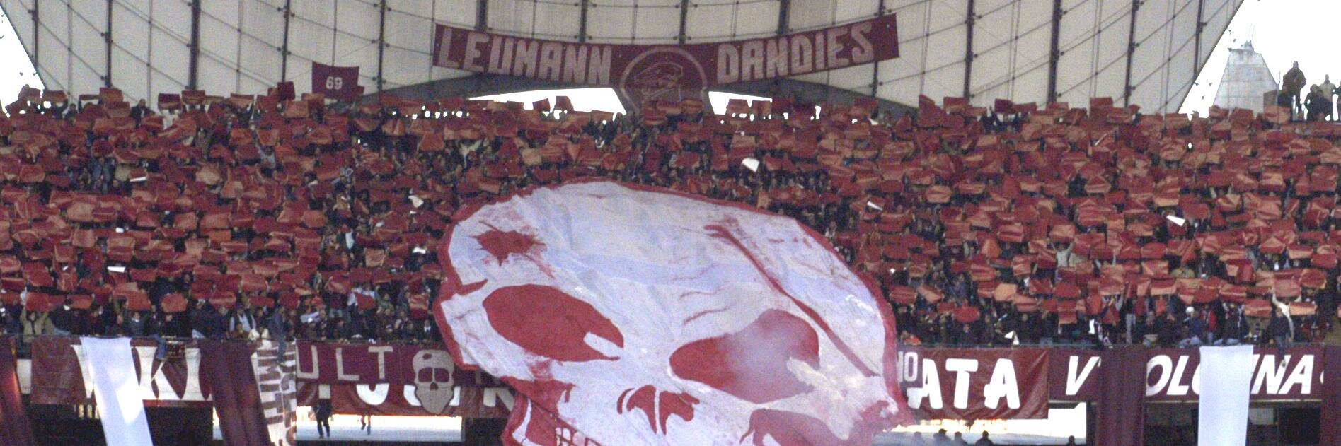 bernybiberny's profile banner image