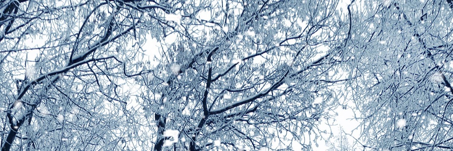 MagnumMax1412's profile banner image
