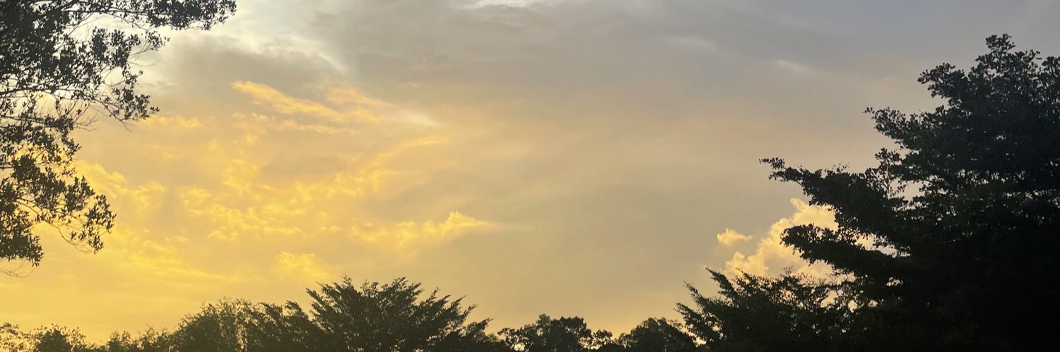 amielharith_'s profile banner image