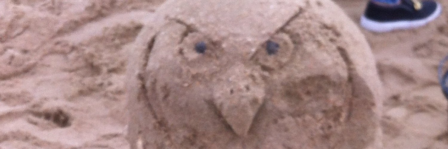 UT_Wagers_14's profile banner image