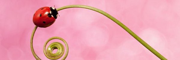 AOSO0RA Profile Banner