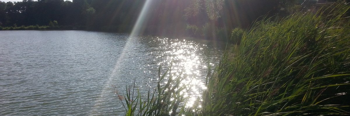 vanda_zei's profile banner image