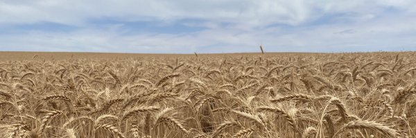 CropDoctor54 Profile Banner