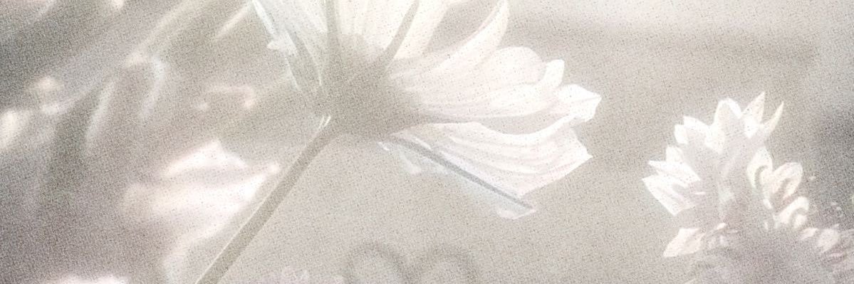 gojoedd's profile banner image