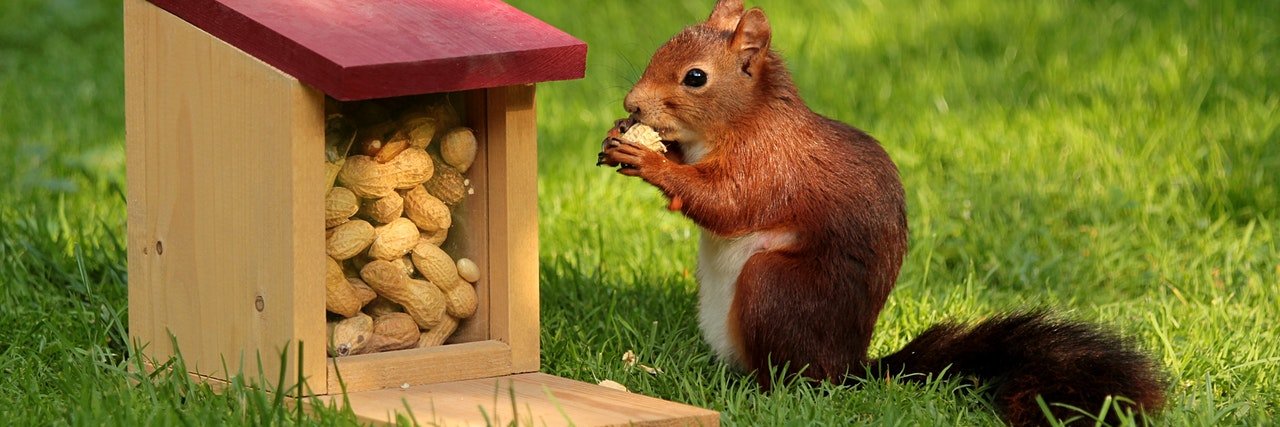 MindfulResolution banner