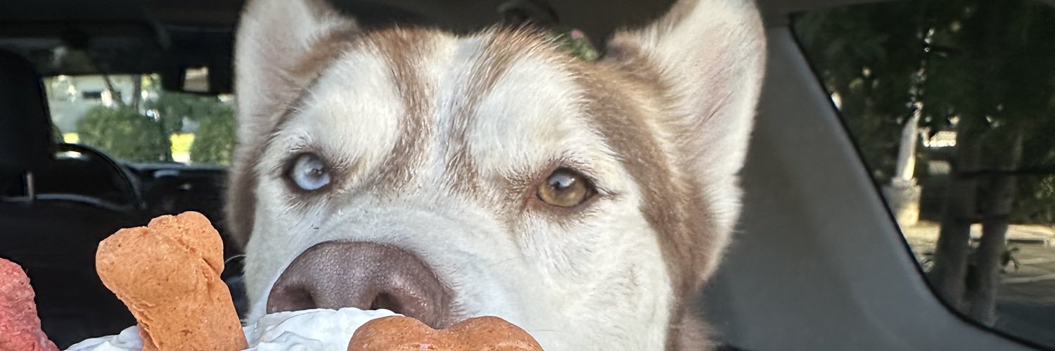 soffiiiaaa__'s profile banner image