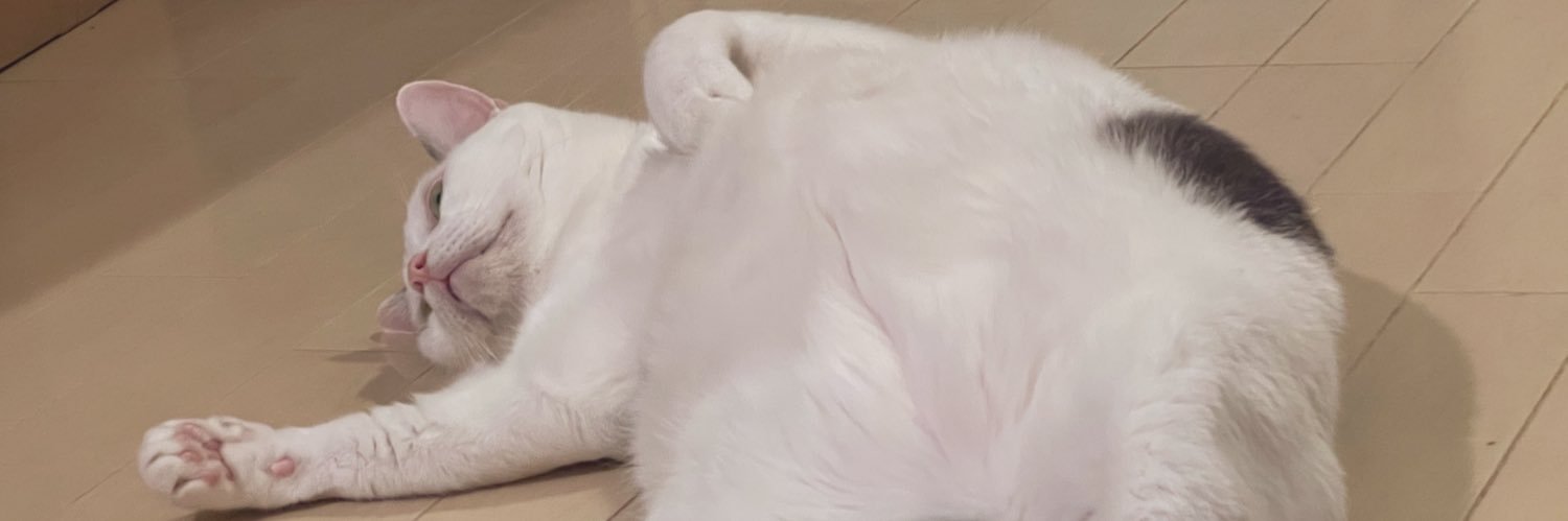 chon0130's profile banner image