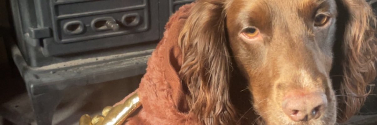 Chloee_smithhx's profile banner image