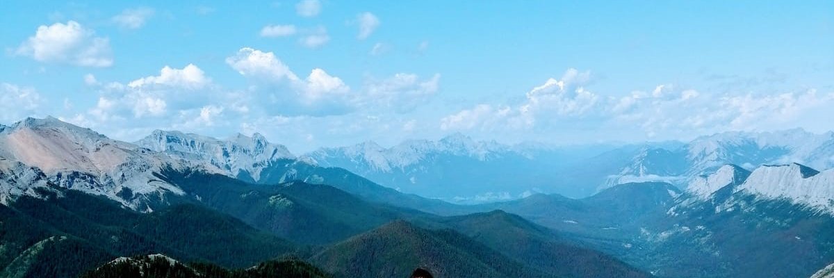 Charlotte Apps banner