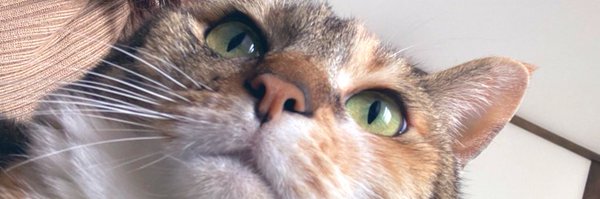 nishimura_ao Profile Banner