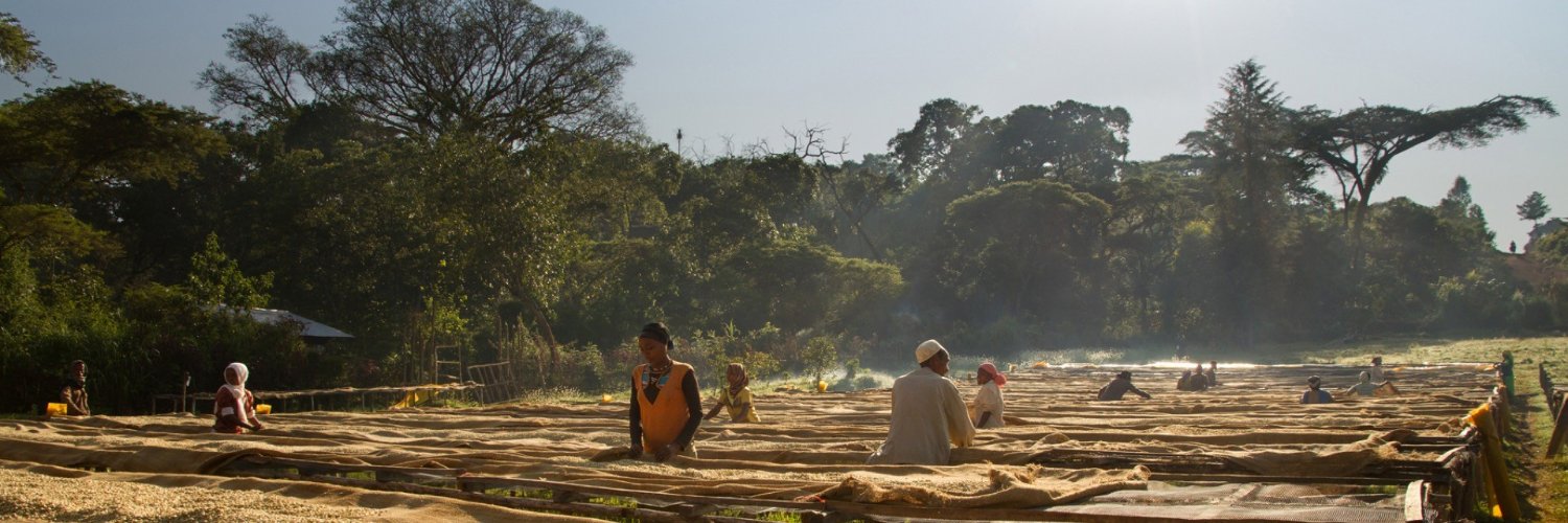 elea Foundation for Ethics in Globalization banner