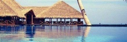 Iryna banner