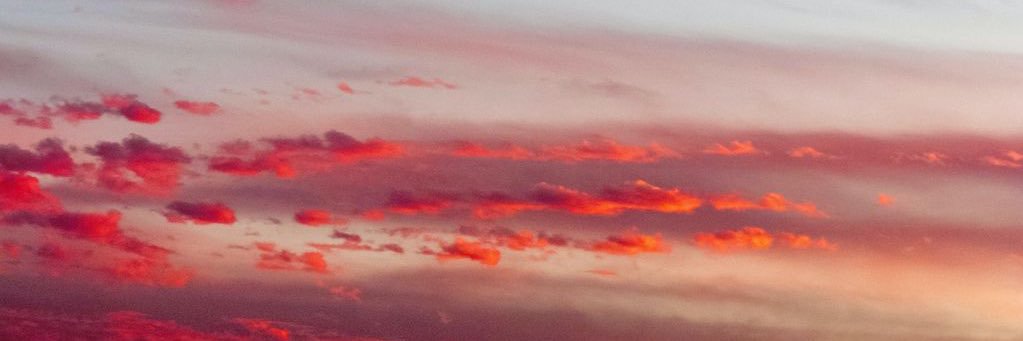 lea_dub's profile banner image