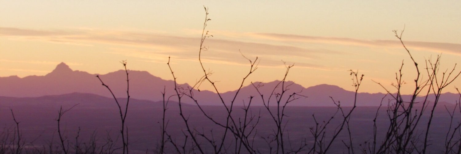 Erica Thieman, PhD banner