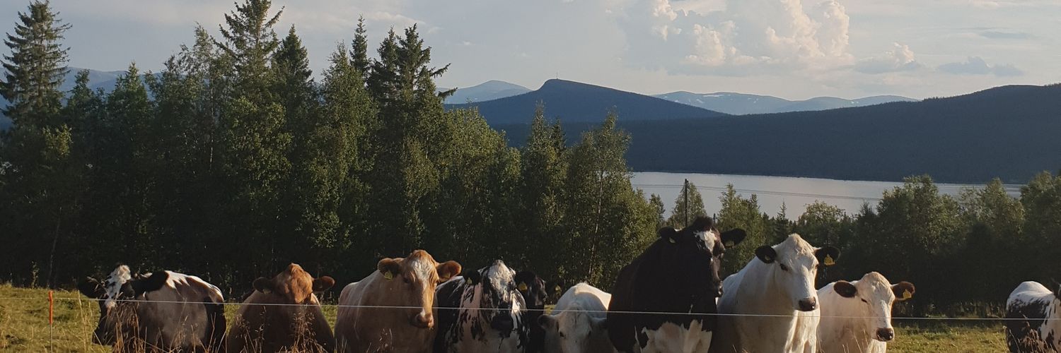 Yudheyn's profile banner image
