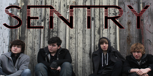 S E N T R Y banner