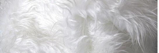 disianaf's profile banner image