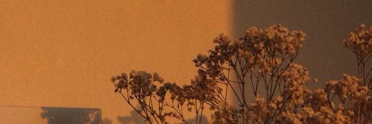 andrea banner