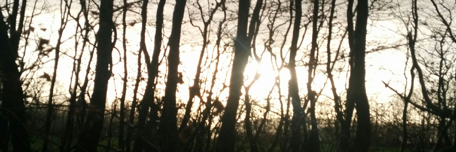 a_WIZZARD's profile banner image