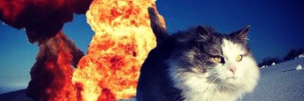 cluckhoff Profile Banner