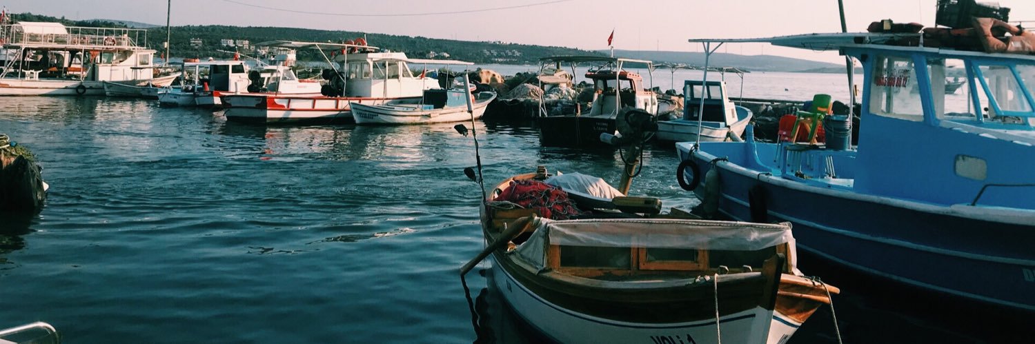 ilydakilc's profile banner image