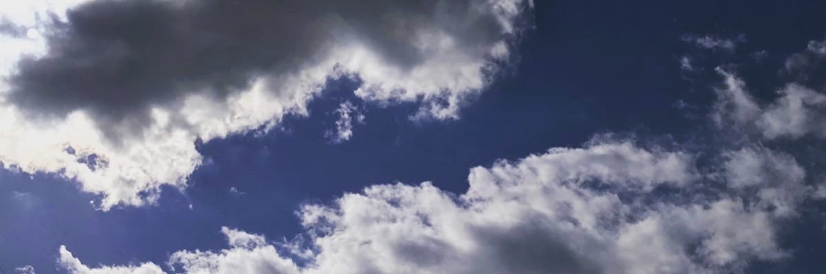 d_arcadia's profile banner image