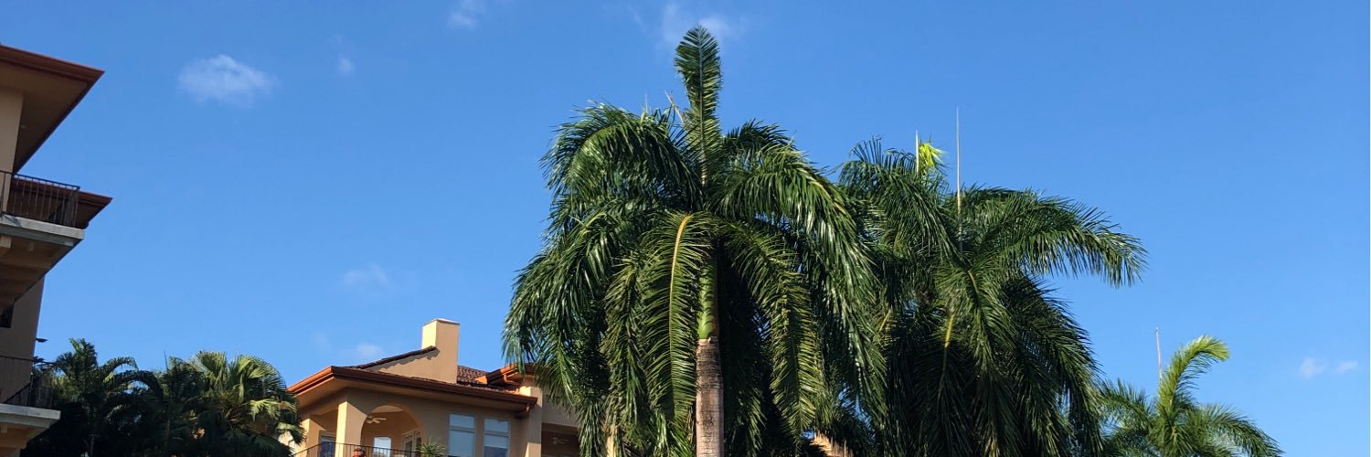 PatriciaBreen7's profile banner image