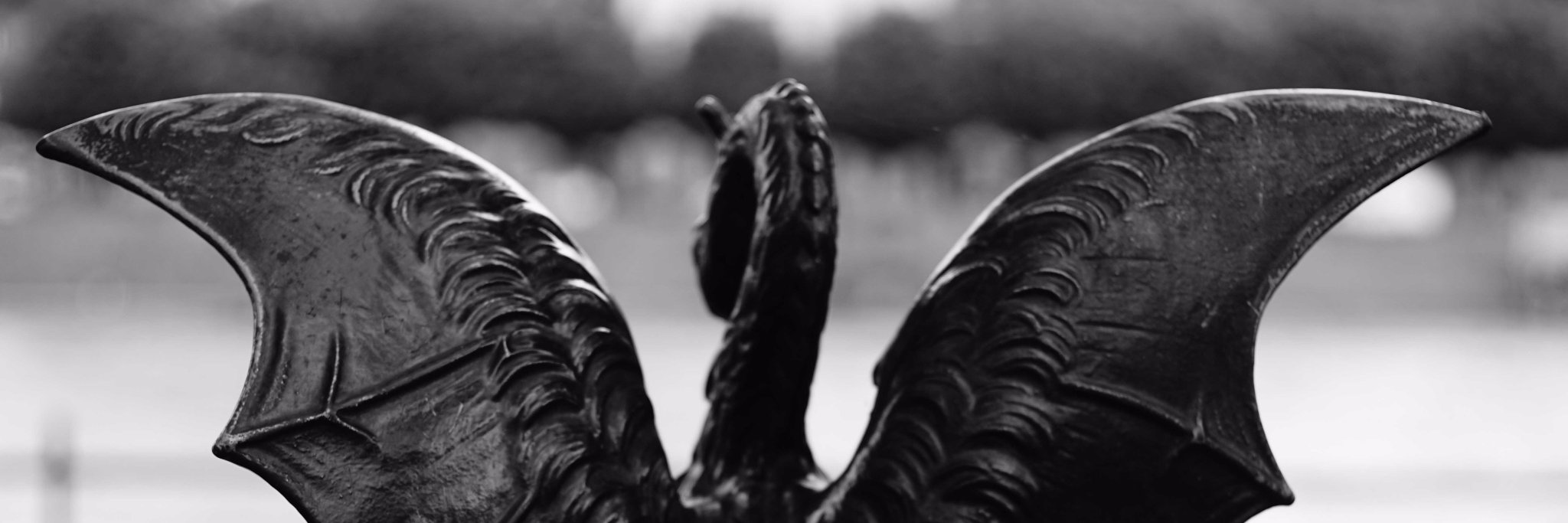 casteldrake's profile banner image