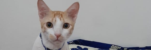 truly_worst's profile banner image