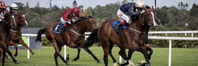 Aughamore Stud banner