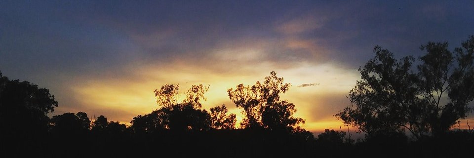 babylady_C's profile banner image