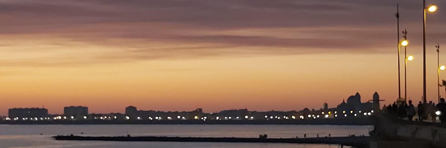 palohernan's profile banner image