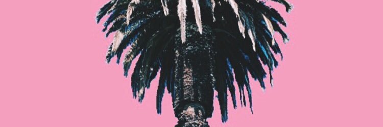 Nesso🌑 banner